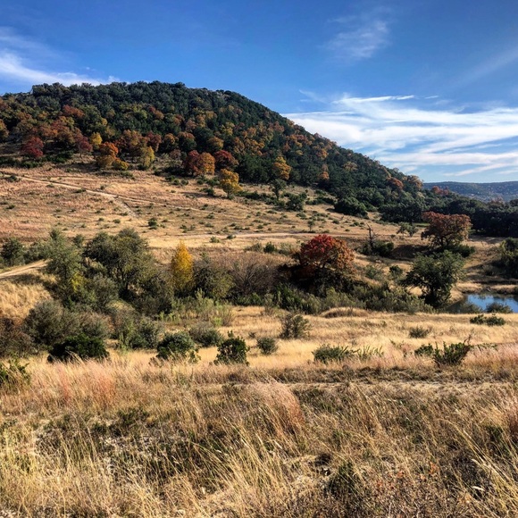 Meet your Posher, Scarlett - Picture 1 of 1